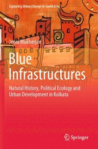 bokomslag Blue Infrastructures