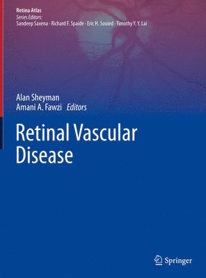 bokomslag Retinal Vascular Disease