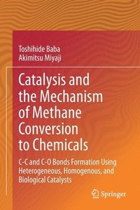 bokomslag Catalysis and the Mechanism of Methane Conversion to Chemicals