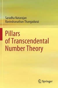 bokomslag Pillars of Transcendental Number Theory