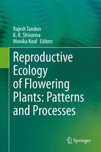 bokomslag Reproductive Ecology of Flowering Plants: Patterns and Processes