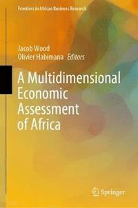 bokomslag A Multidimensional Economic Assessment of Africa
