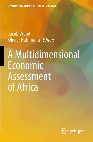 Jacob Wood, Olivier Habimana - Multidimensional Economic Assessment of Africa, Häftad
