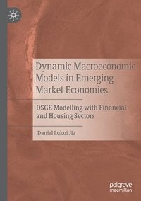 bokomslag Dynamic Macroeconomic Models in Emerging Market Economies