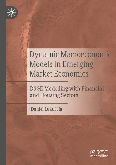 bokomslag Dynamic Macroeconomic Models in Emerging Market Economies