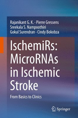 bokomslag IschemiRs: MicroRNAs in Ischemic Stroke