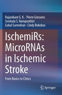 bokomslag IschemiRs: MicroRNAs in Ischemic Stroke