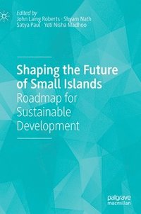 bokomslag Shaping the Future of Small Islands