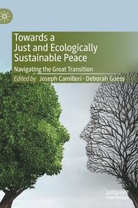 bokomslag Towards a Just and Ecologically Sustainable Peace
