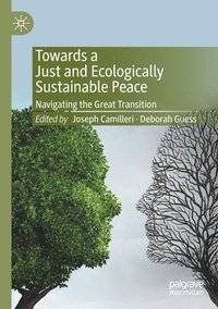 bokomslag Towards a Just and Ecologically Sustainable Peace