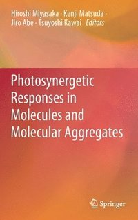 bokomslag Photosynergetic Responses in Molecules and Molecular Aggregates