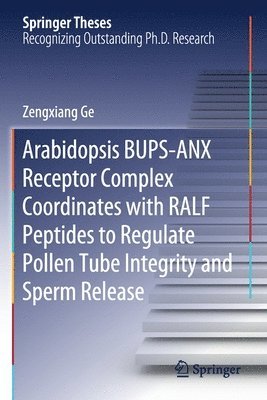 Arabidopsis BUPS-ANX Receptor Complex Coordinates with RALF Peptides to Regulate Pollen Tube Integrity and Sperm Release 1