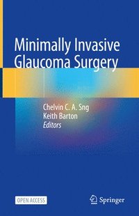 bokomslag Minimally Invasive Glaucoma Surgery