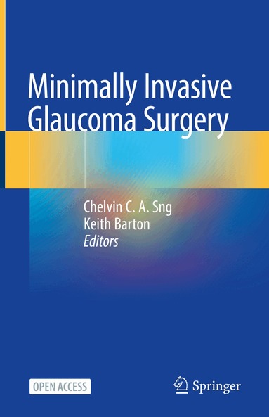 Chelvin C. A. Sng, Keith Barton - Minimally Invasive Glaucoma Surgery, Inbunden