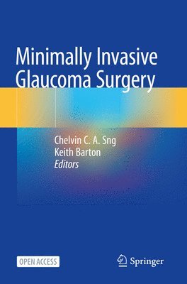 bokomslag Minimally Invasive Glaucoma Surgery