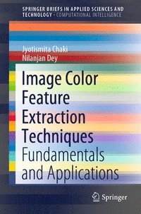 bokomslag Image Color Feature Extraction Techniques