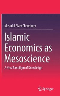 bokomslag Islamic Economics as Mesoscience