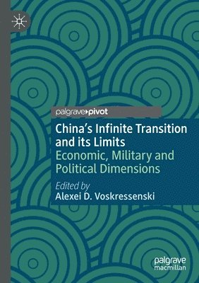 Chinas Infinite Transition and its Limits 1