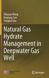 bokomslag Natural Gas Hydrate Management in Deepwater Gas Well