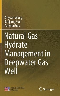 Natural Gas Hydrate Management in Deepwater Gas Well 1