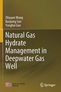 bokomslag Natural Gas Hydrate Management in Deepwater Gas Well