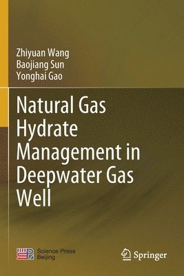 Zhiyuan Wang, Baojiang Sun, Yonghai Gao - Natural Gas Hydrate Management in Deepwater Gas Well, Häftad