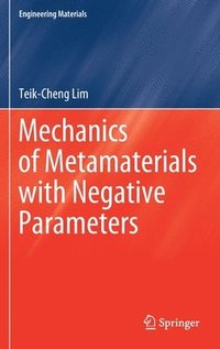 bokomslag Mechanics of Metamaterials with Negative Parameters