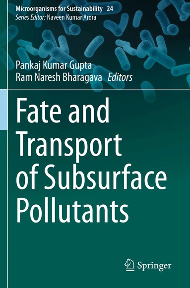 Pankaj Kumar Gupta, Ram Naresh Bharagava - Fate and Transport of Subsurface Pollutants, Häftad