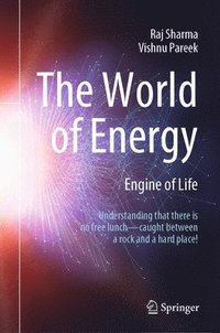bokomslag World of Energy