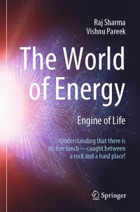 bokomslag The World of Energy