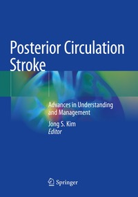 bokomslag Posterior Circulation Stroke