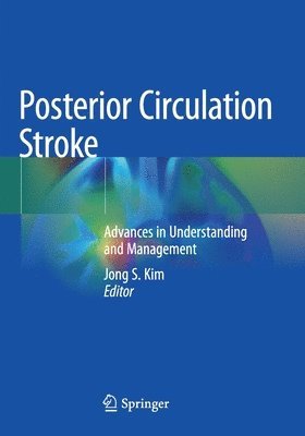 bokomslag Posterior Circulation Stroke