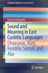 bokomslag Sound and Meaning in East Cushitic Languages