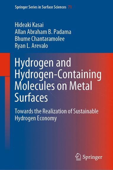 Hideaki Kasai, Allan Abraham B. Padama, Bhume Chantaramolee, Ryan L. Arevalo - Hydrogen and Hydrogen-Containing Molecules on Metal Surfaces, Inbunden