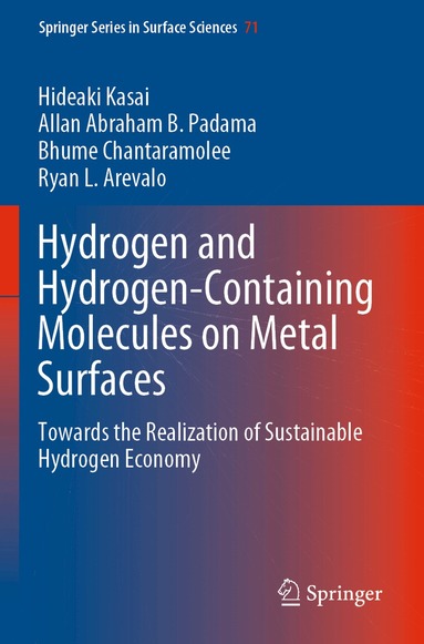 Hideaki Kasai, Allan Abraham B. Padama, Bhume Chantaramolee, Ryan L. Arevalo - Hydrogen and Hydrogen-Containing Molecules on Metal Surfaces, Häftad