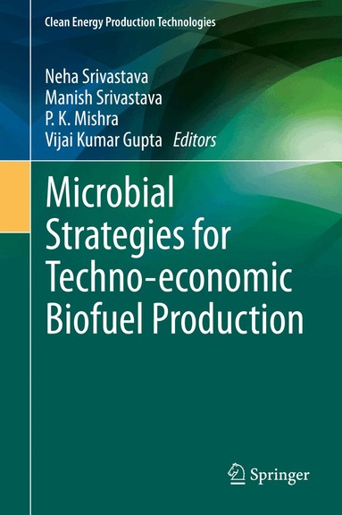 Neha Srivastava, Manish Srivastava, P. K. Mishra, Vijai Kumar Gupta - Microbial Strategies for Techno-economic Biofuel Production, Inbunden