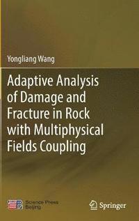 bokomslag Adaptive Analysis of Damage and Fracture in Rock with Multiphysical Fields Coupling