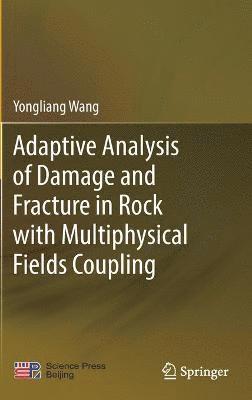 bokomslag Adaptive Analysis of Damage and Fracture in Rock with Multiphysical Fields Coupling