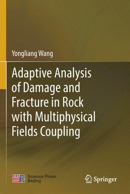 bokomslag Adaptive Analysis of Damage and Fracture in Rock with Multiphysical Fields Coupling