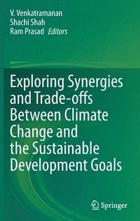 bokomslag Exploring Synergies and Trade-offs between Climate Change and the Sustainable Development Goals