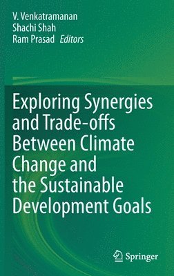 bokomslag Exploring Synergies and Trade-offs between Climate Change and the Sustainable Development Goals