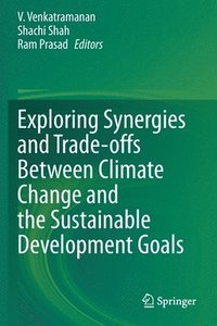 bokomslag Exploring Synergies and Trade-offs between Climate Change and the Sustainable Development Goals