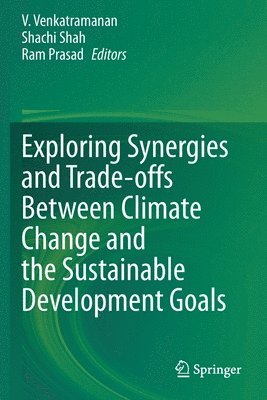 bokomslag Exploring Synergies and Trade-offs between Climate Change and the Sustainable Development Goals