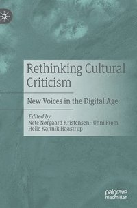bokomslag Rethinking Cultural Criticism