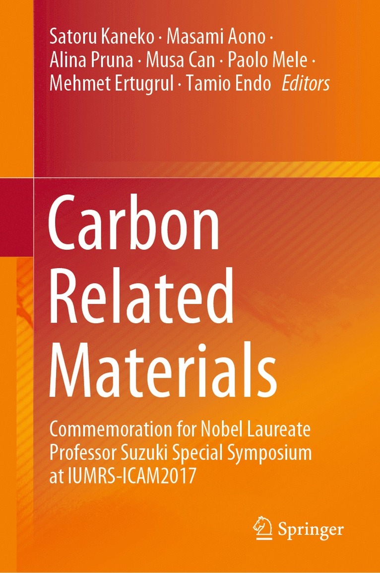 Satoru Kaneko, Masami Aono, Alina Pruna, Musa Can, Paolo Mele, Mehmet Ertugrul, Tamio Endo - Carbon Related Materials, Inbunden