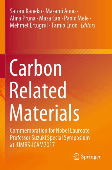 Satoru Kaneko, Masami Aono, Alina Pruna, Musa Can, Paolo Mele, Mehmet Ertugrul, Tamio Endo - Carbon Related Materials, Häftad