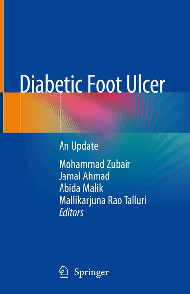Mohammad Zubair, Jamal Ahmad, Abida Malik, Mallikarjuna Rao Talluri - Diabetic Foot Ulcer, Inbunden