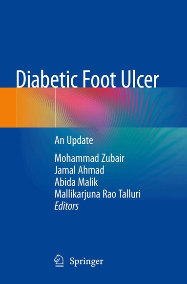 Mohammad Zubair, Jamal Ahmad, Abida Malik, Mallikarjuna Rao Talluri - Diabetic Foot Ulcer, Häftad