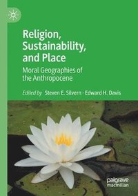bokomslag Religion, Sustainability, and Place
