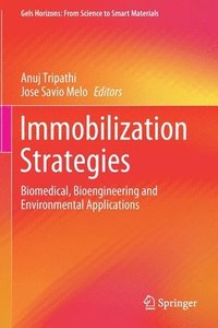 bokomslag Immobilization Strategies